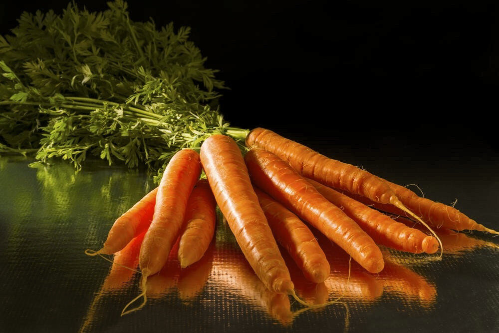 7 сортов моркови для хранения на зиму (фото): названия, характеристики, описания – Антонов сад