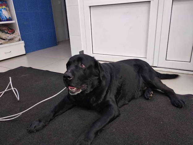 Фото из источника yaplakal.com