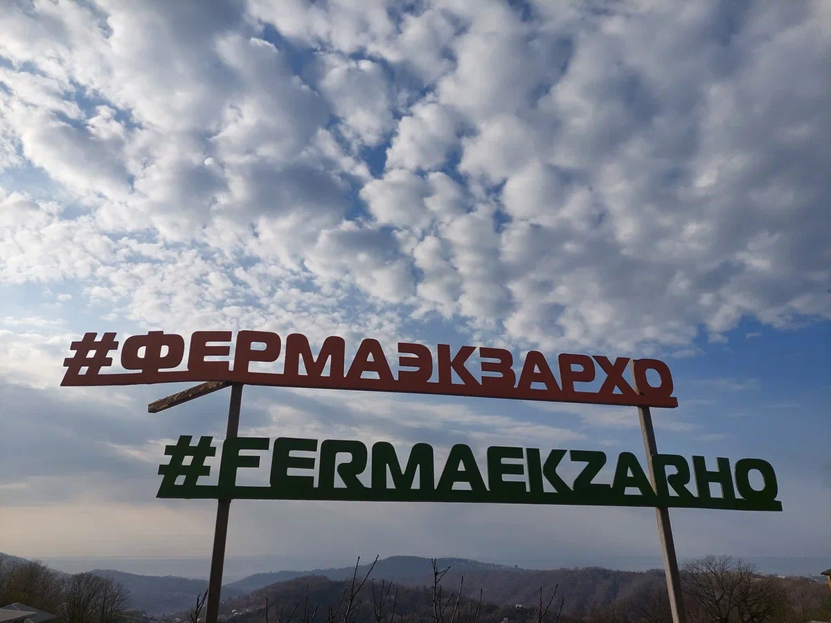 На самой высокой точке Мацесты, в горах находится эта необычная ферма. 