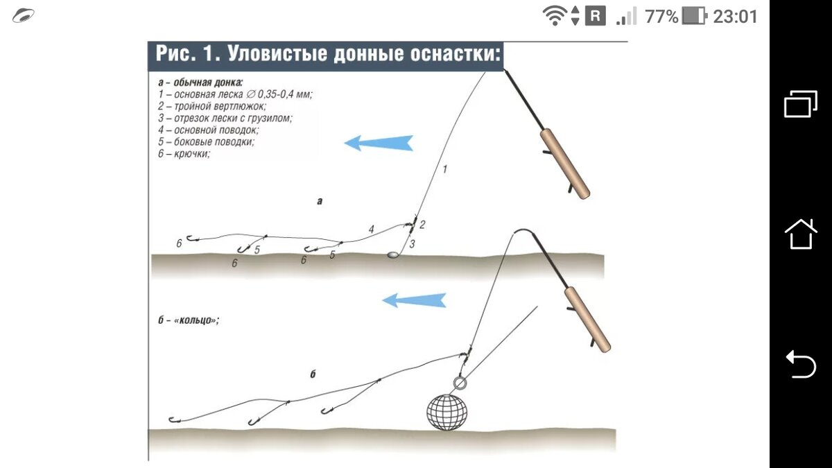 Донка для начинающих, ловля на донку, оснастка и техника ловли