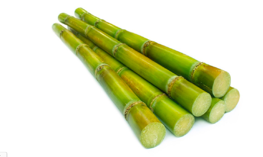 Стебли сахарного тростника, из которых выжимается сладкий сок.