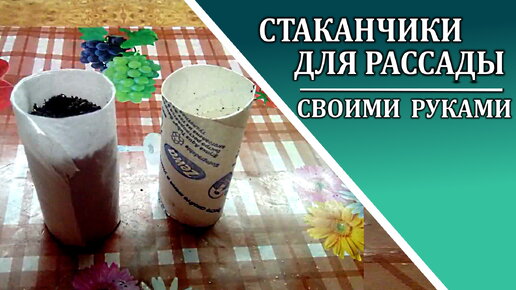 Как сделать стаканчики для рассады своими руками.Стаканчики из пленки