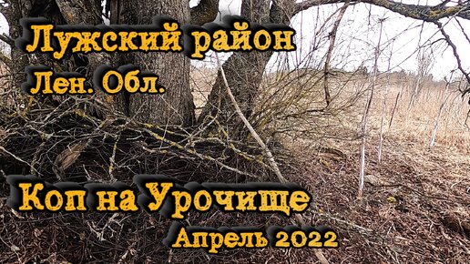 Лужский район Лен. Обл. Коп на УРОЧИЩЕ. АПРЕЛЬ 2022