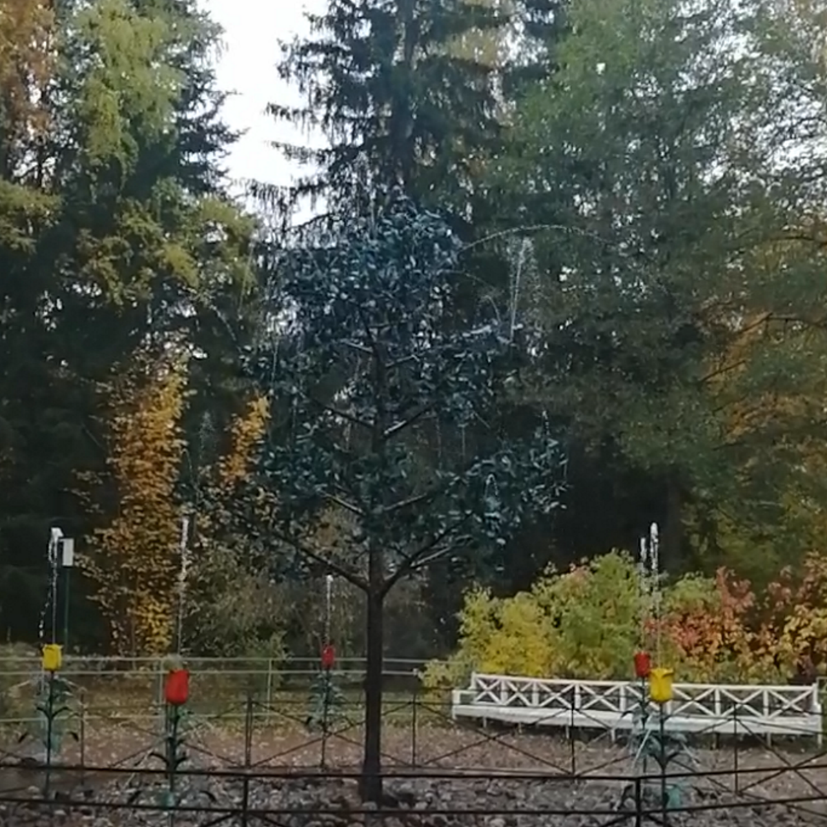 Фонтан-шутиха Дубок