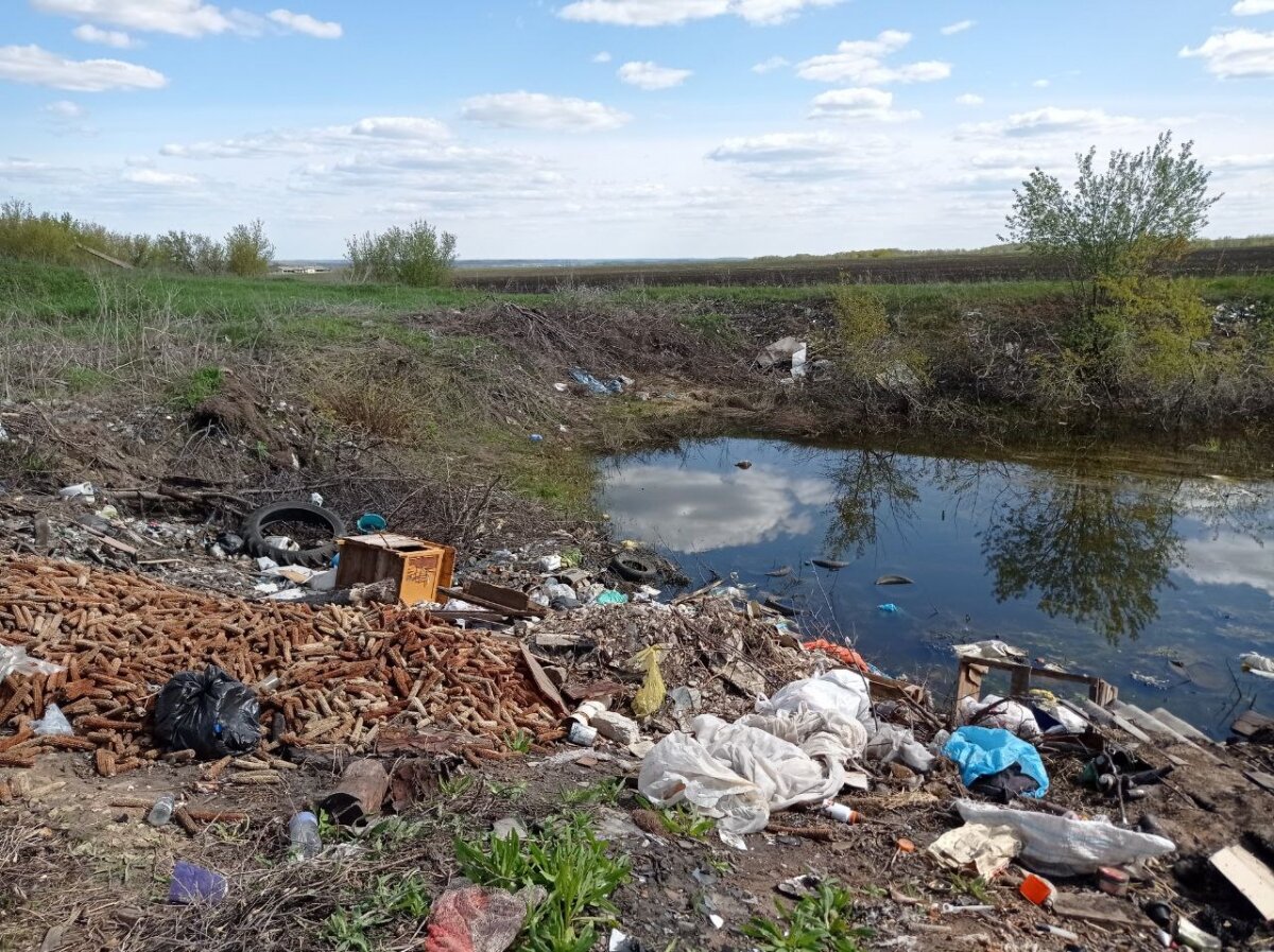    37 гектаров в Саратовской области захламлены отходами сельхозугодий Новости Саратова и области – Сетевое издание «Репортер64»