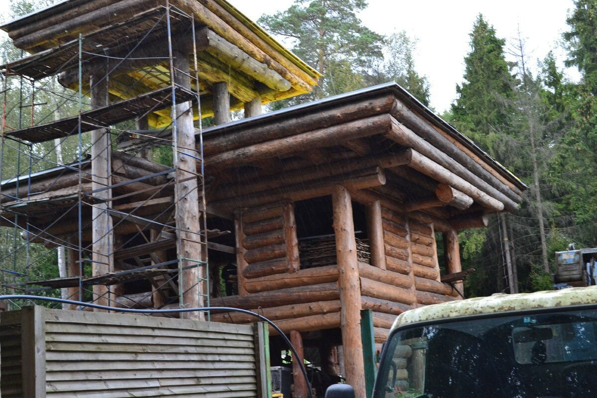 Дом высокий, почти дотягивает до верхушки деревьев