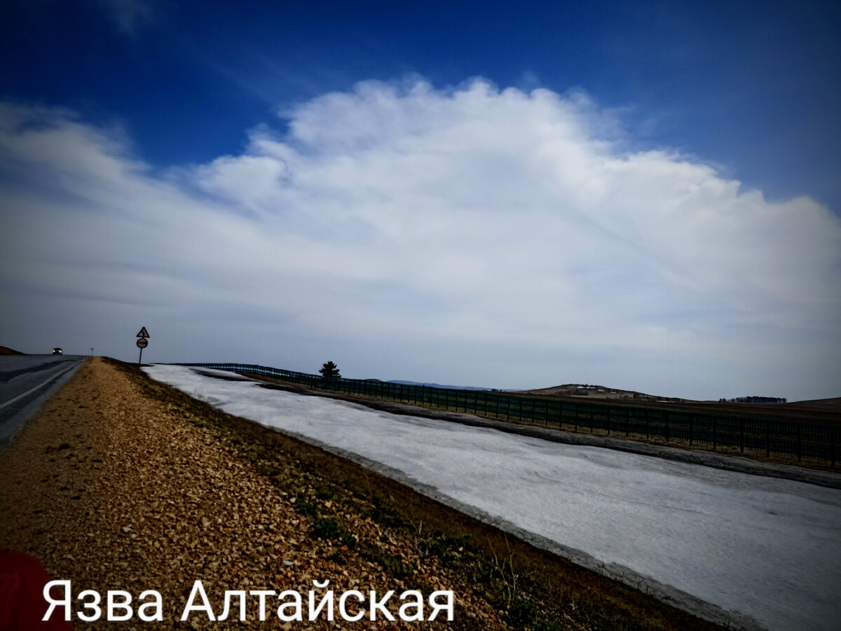 Чудо, просто чудо. 