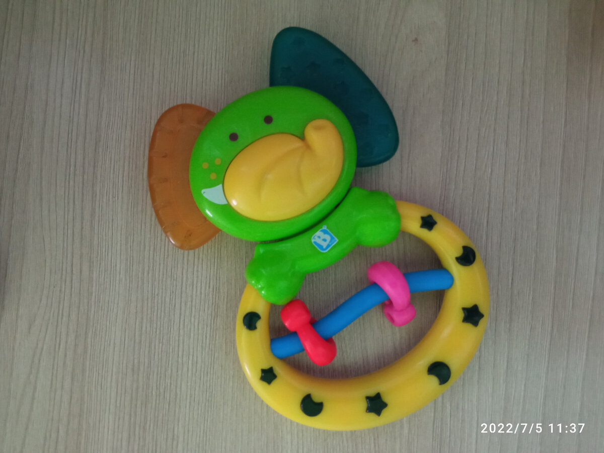 Слон Саша, мать его ити. Оставили, куда деваться