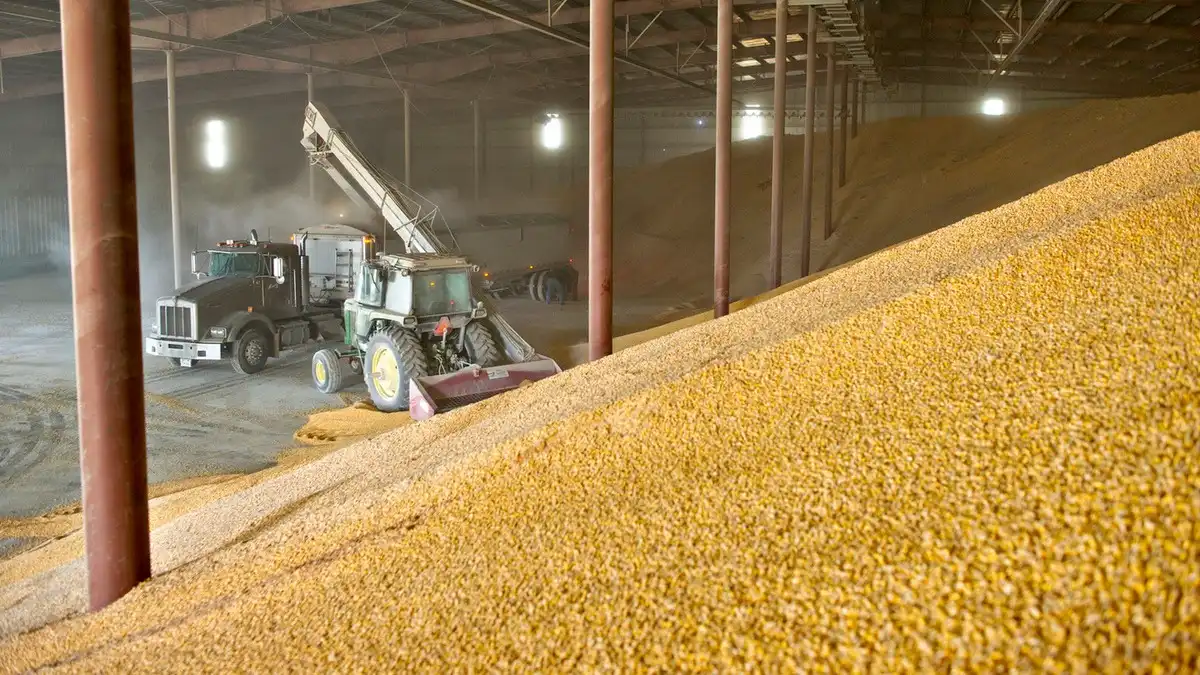 Фото:static.mk.ru