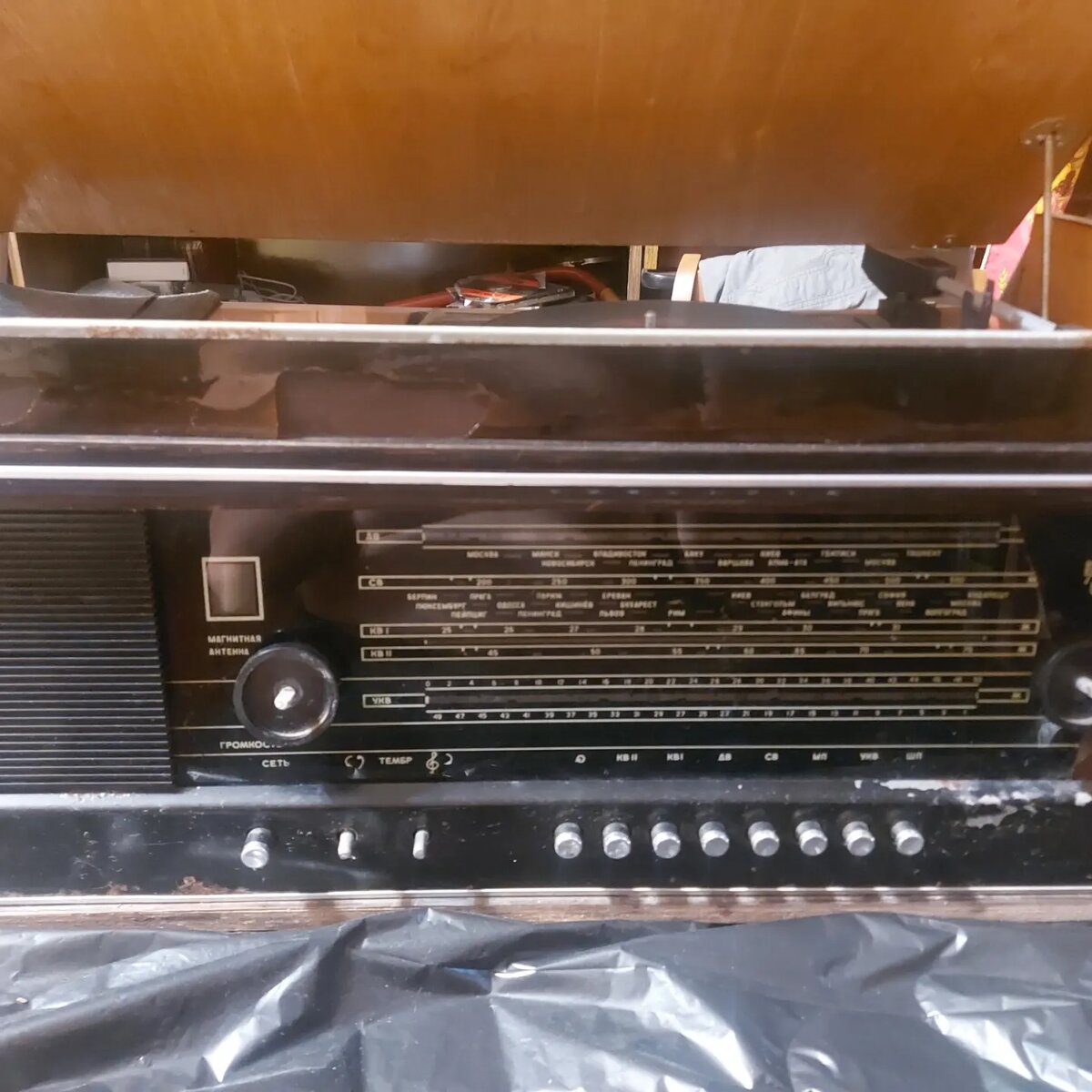 Воскрешение динозавра в процессе