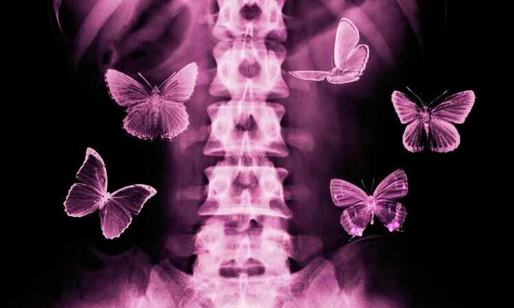 фото из свободных источников