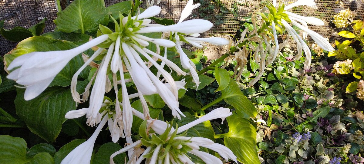 Фото автора канала