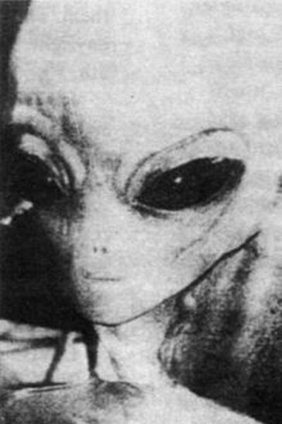 EBE-1. Снятый на фотоловушку