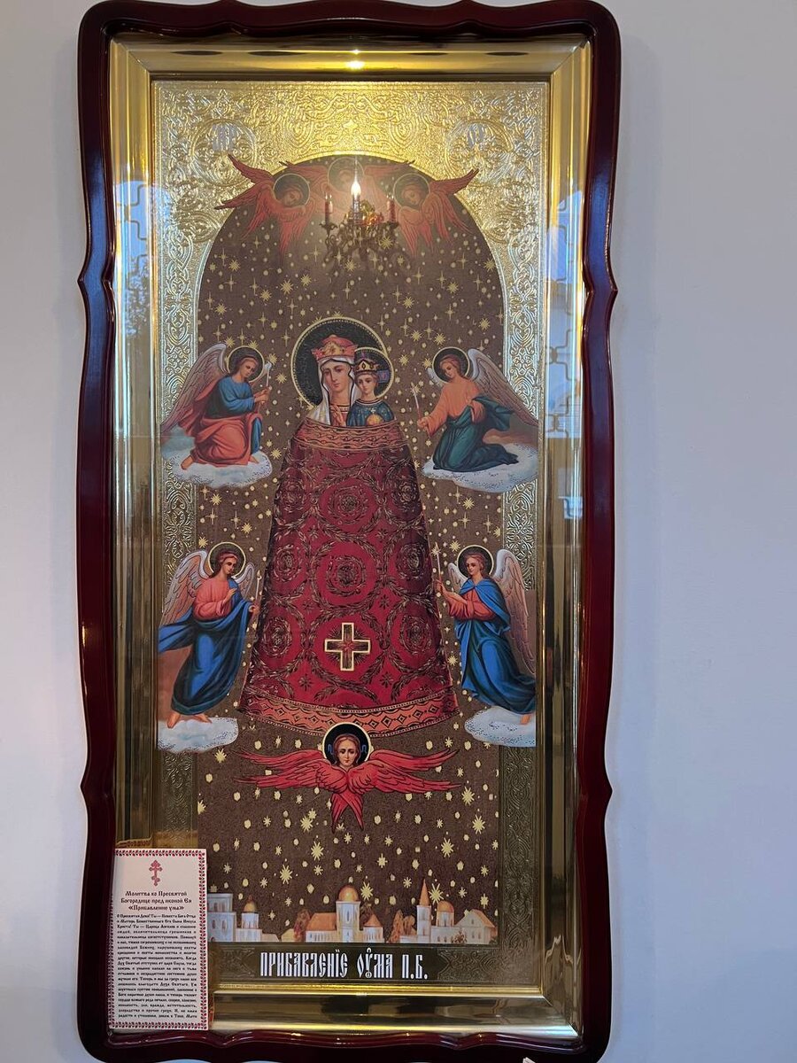 Икона "Прибавление ума" в Храме божьей матери "Неупиваемая чаша" (Самара, Изба Стройности)