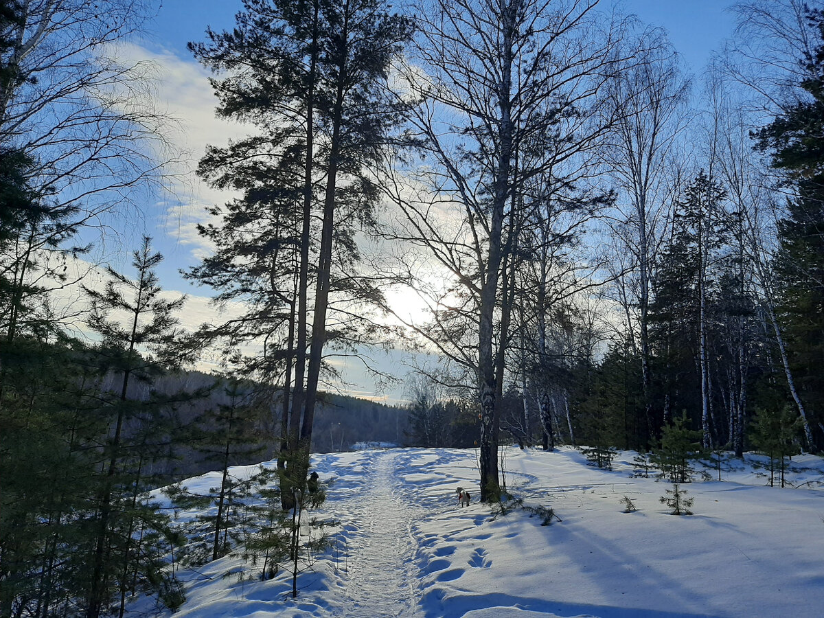 Солнечно! Гуляй ,да гуляй!