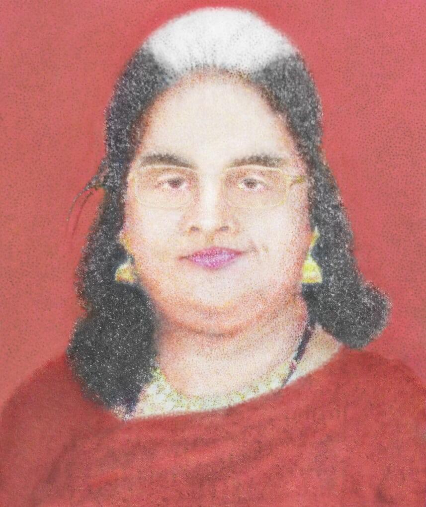 Traveller No 11, Sushant Chhabria, 2014