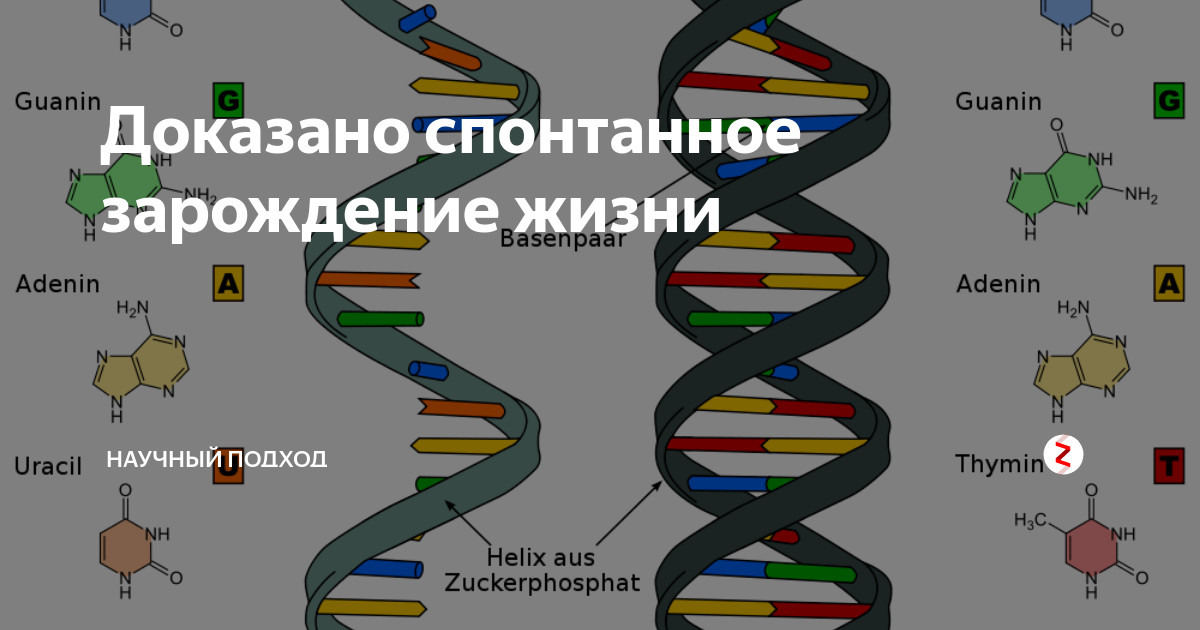 Гипотеза мира рнк презентация