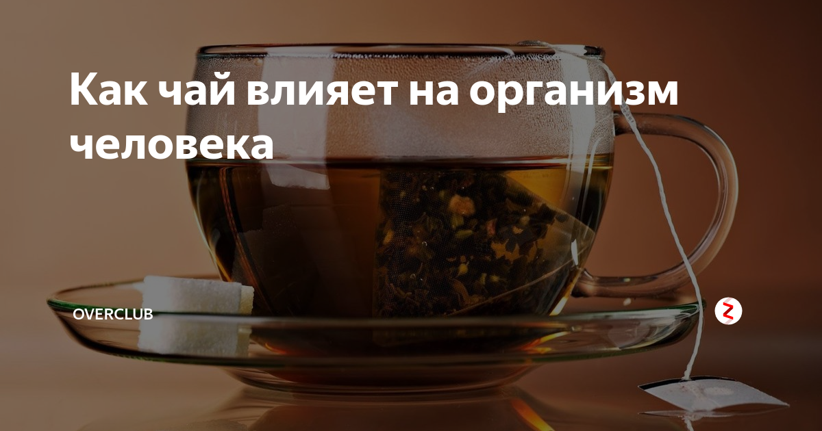 Влияние чая на организм человека проект Как чай влияет на организм
