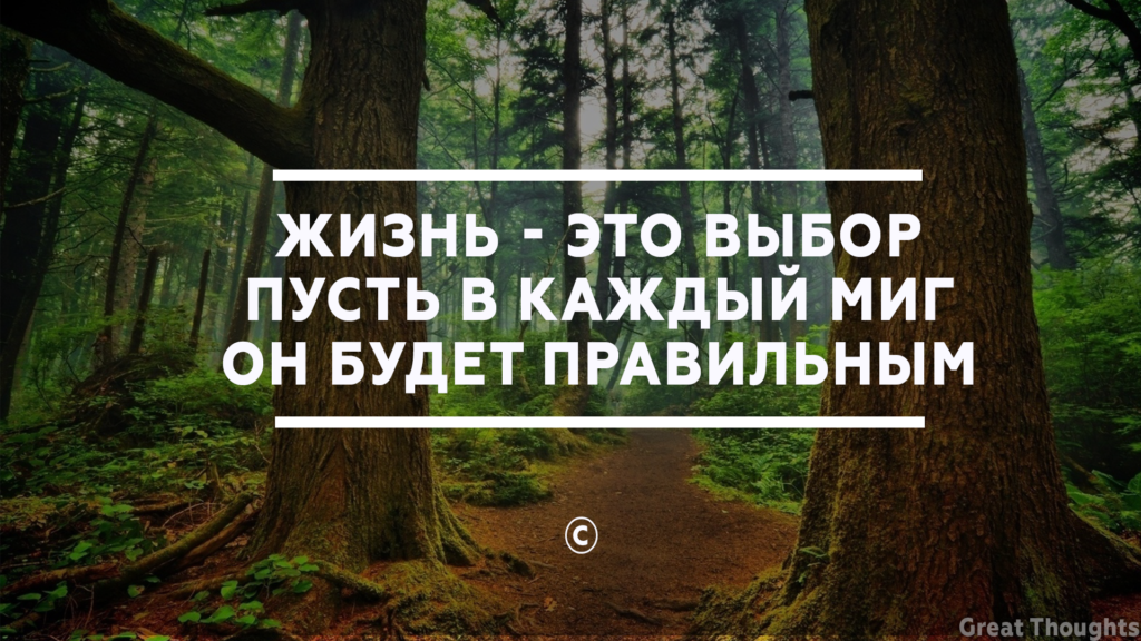 Выбери высказывание. Правильный выбор цитаты. Афоризмы о правильном выборе. Афоризм о выборе жизненного. Цитаты про выбор в жизни.