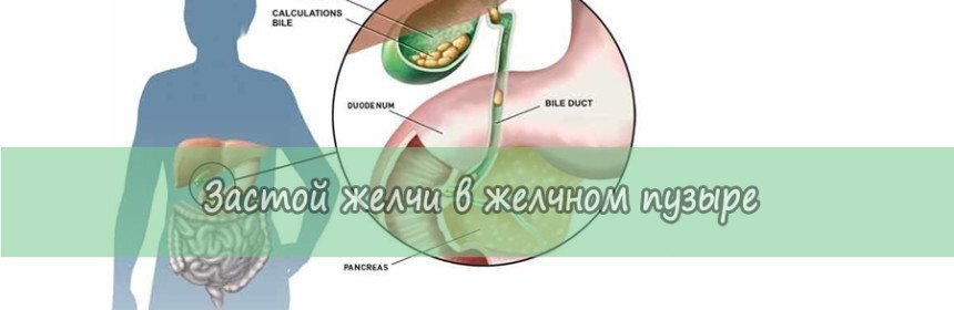 Как поступить при избытке желчи в желудке