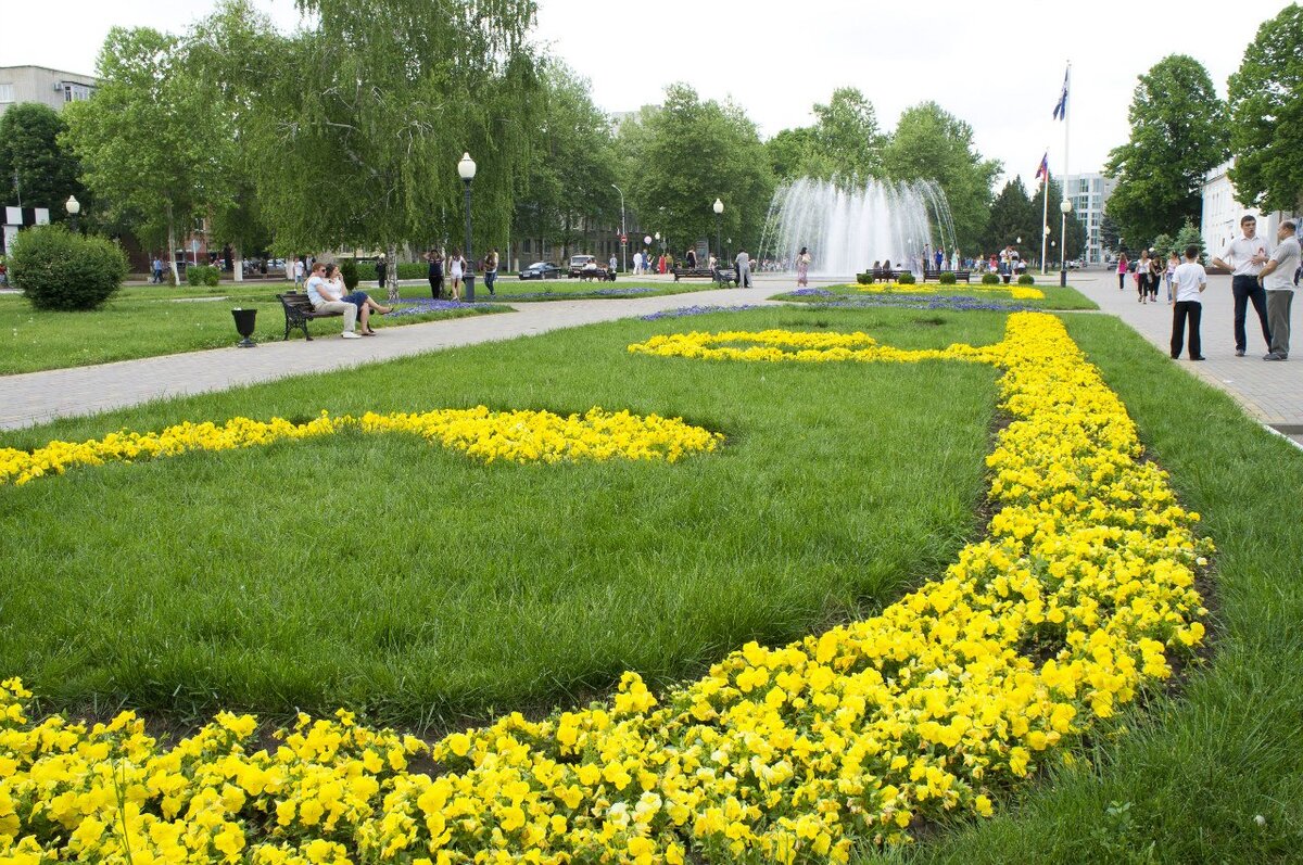 Белореченск картинки города