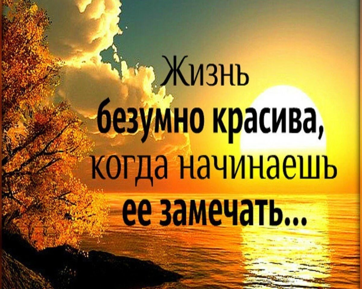 Жизнь безумно красива, когда начинаешь её замечать! Красивые цитаты и  высказывания о жизни. | Всяко разно | Дзен