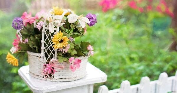 фото: pixabay.com