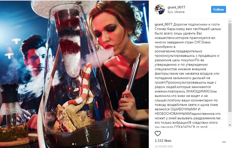 Автор скрина Аста Квитницкая