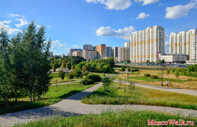 Митино для детей. Митинский парк Москва. Митинский ландшафтный парк. Лесопарк Митино. Ландшафтный парк Митино Москва.