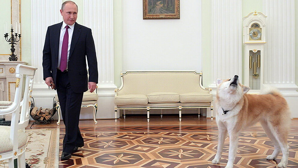 Президент России В.В.Путин известен своей любовью к животным. С особым уважением он относится к собакам и является владельцем сразу нескольких четерехлапых друзей. В 2012 г.