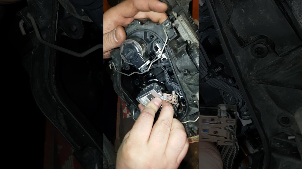 Фото: Youtube.com