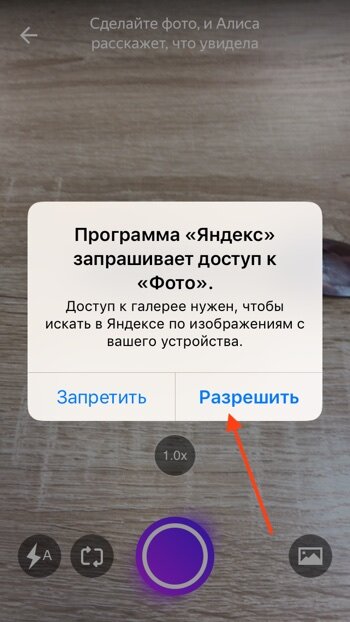 Алиса найди в приложении. Как отправить фото Алисе Яндекс. Как отправить фото Алисе Яндекс из галереи. Приложение по картинке распознающее. Распознавание по фото Яндекс Алиса.