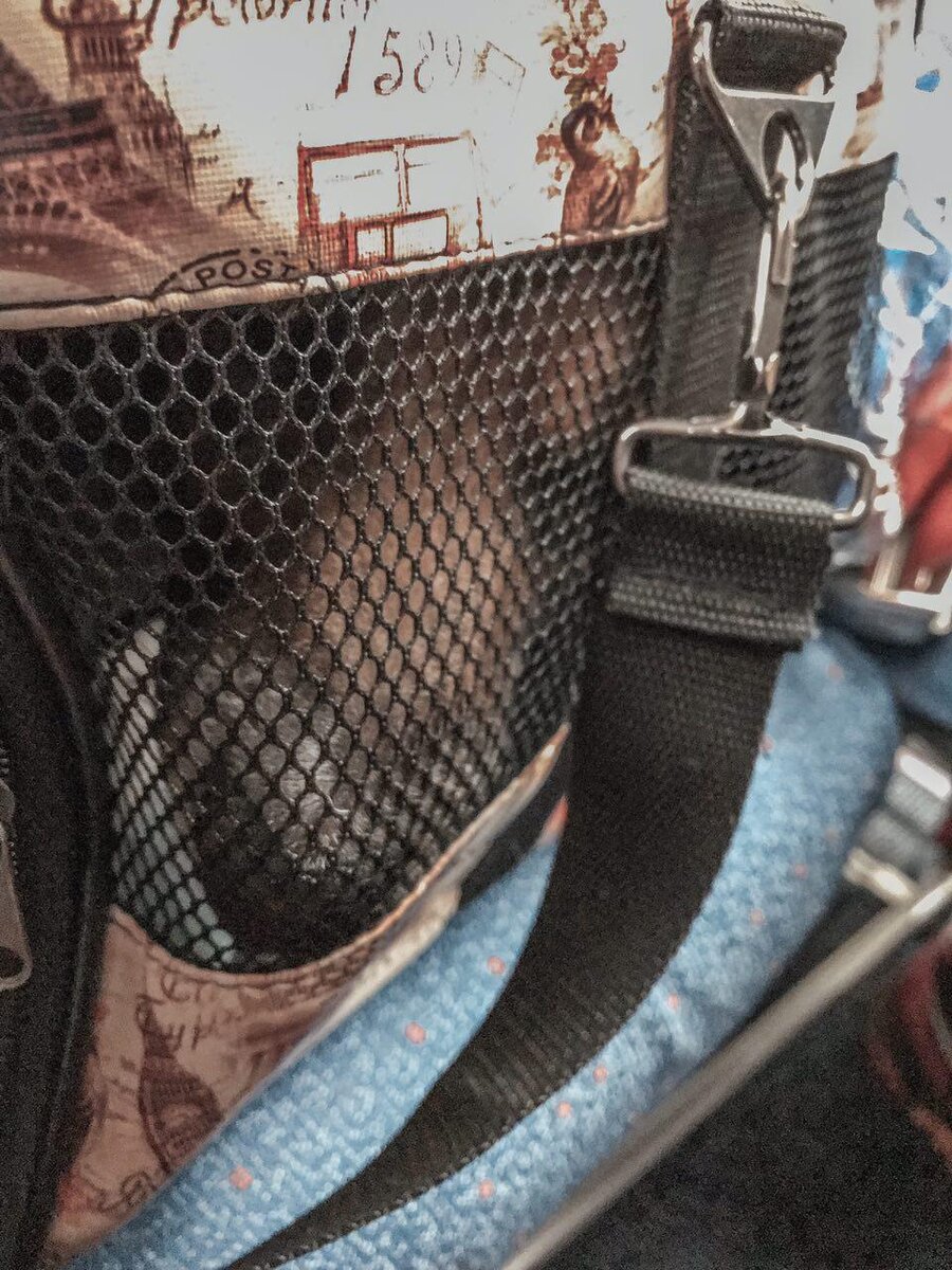 Не очень хорошо видно, но там наш нос сидит в переноске.