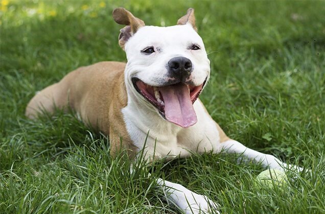 Подписывайтесь на канал, ставьте лайки. Спасибо.