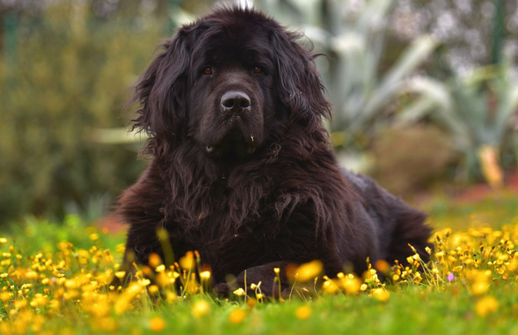 Палец вверх и подписка за пристальный взгляд! 😎