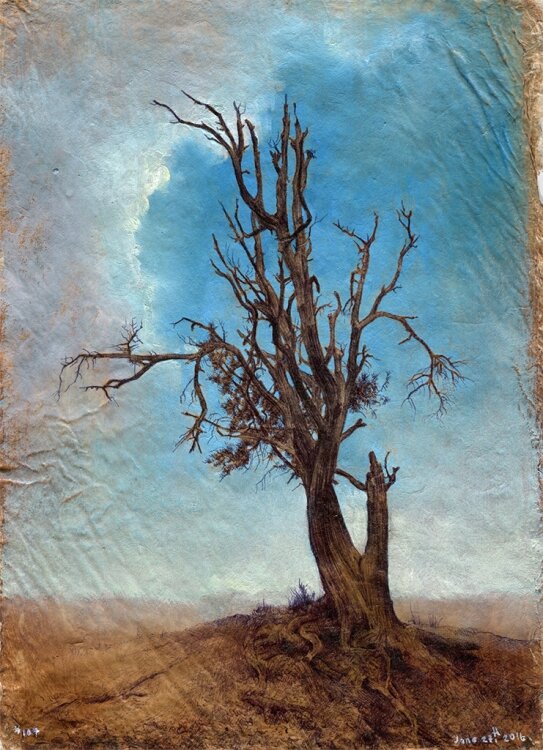 Автор: Дина Бродская.