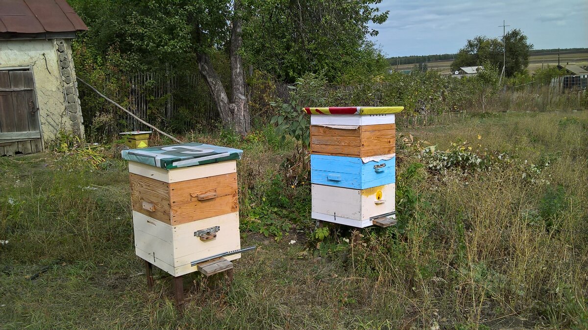 Самодельные ульи начинающего столяра