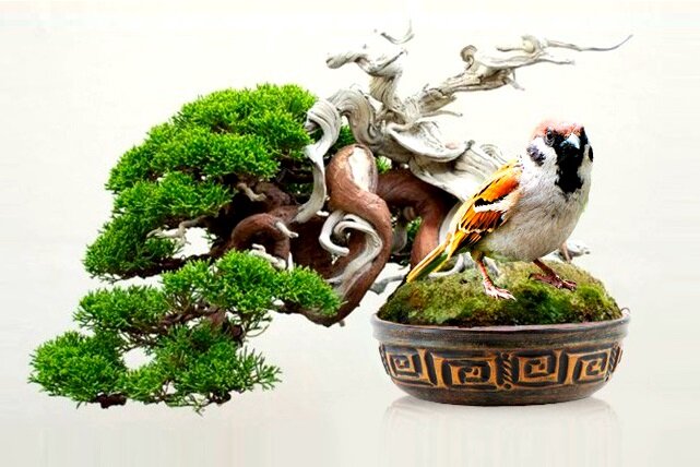 Источник фото: https://procvetok.ru/uploads/files/rassilki/Vesna2019/20190325/20190325RU.html?from=email4&code=494061