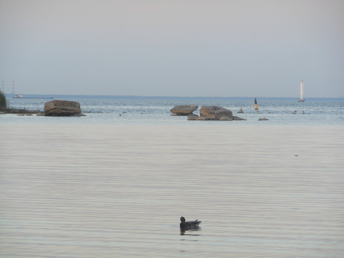 Финский залив