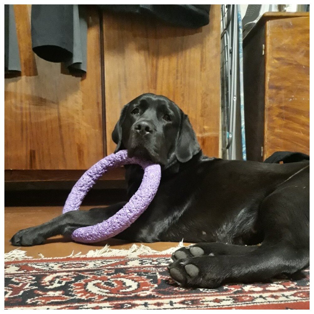 Вот такая я красавица)))))