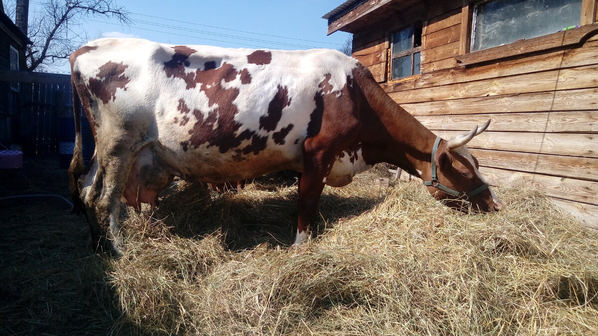 Побегали - теперь можно и пожевать.