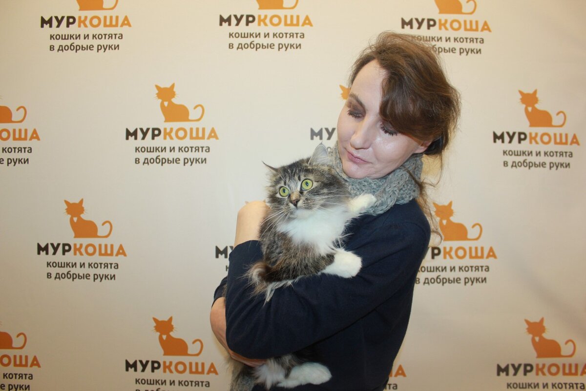 1. Кошка Совушка, 2 г.