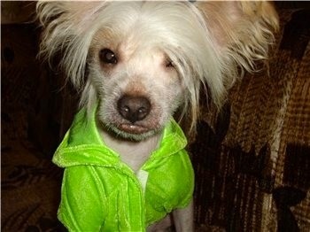 Кай во всей красе...