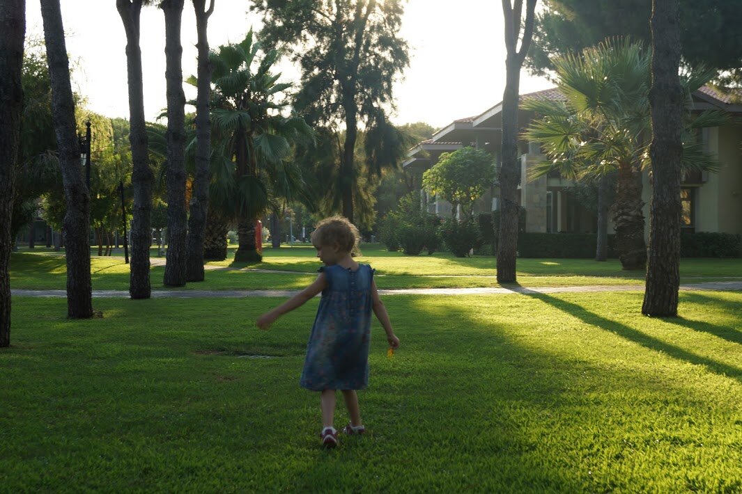 Территория отеля