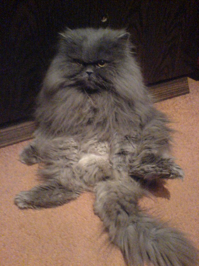 Фото взято из свободных источников 