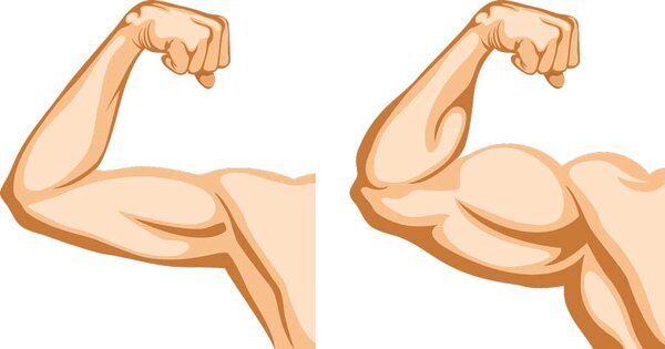 Мышцы и сила после 50. Тренировка для развития мускулатуры мужчин.