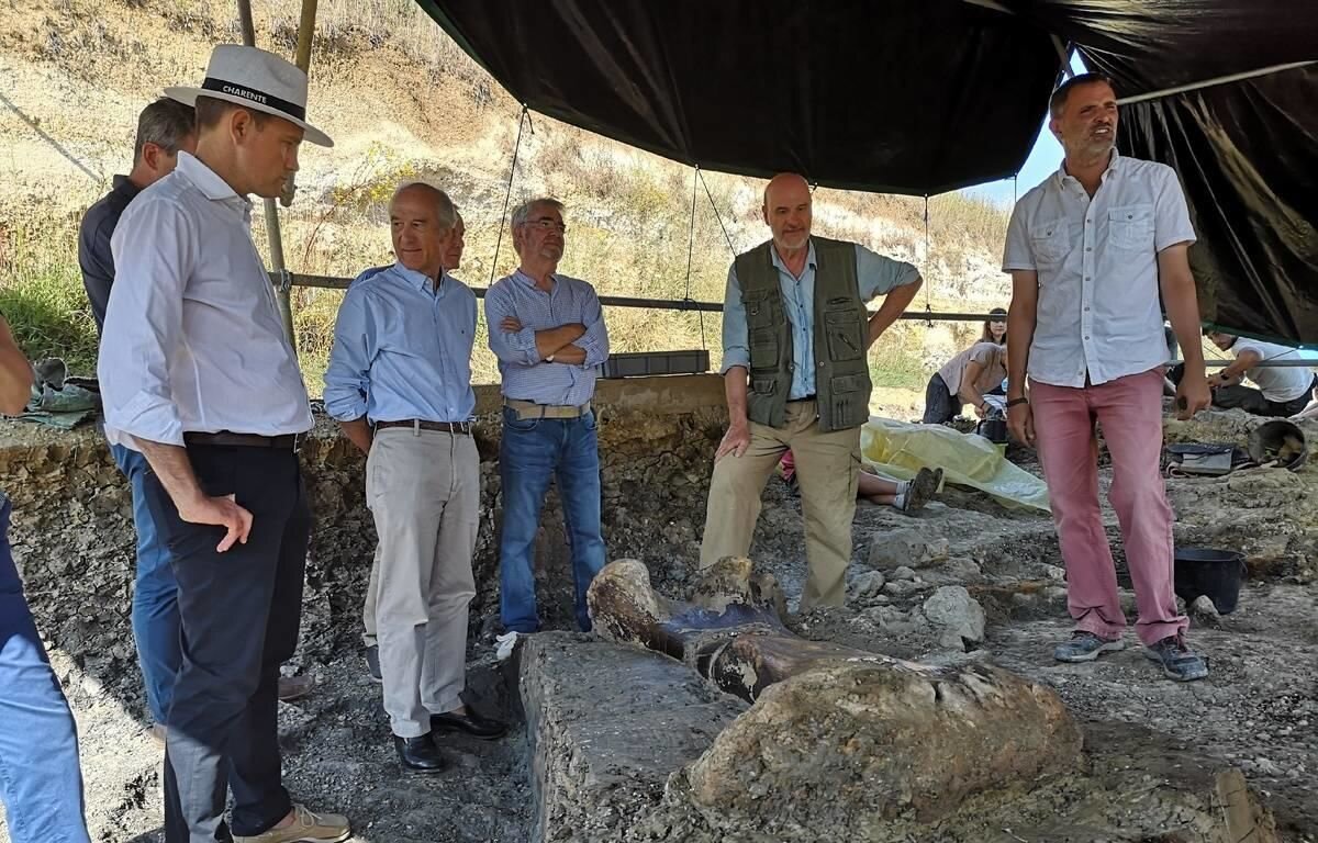 Франция, кость. динозавр