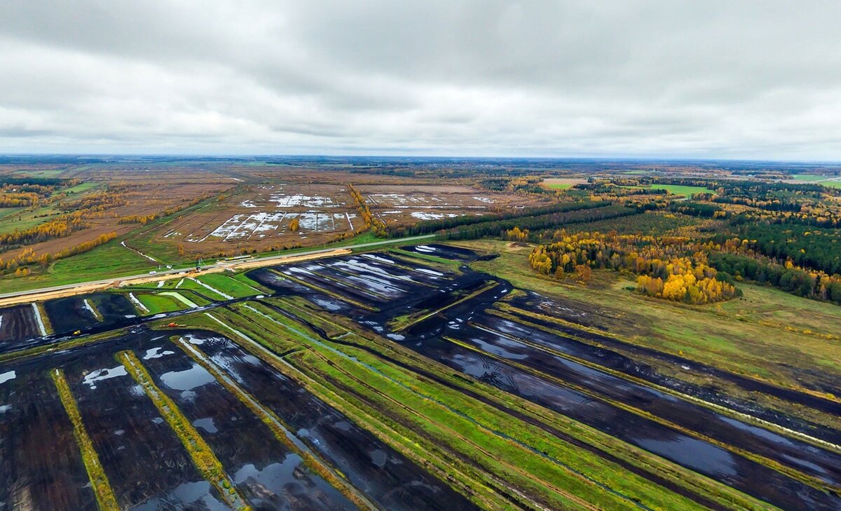 Торфяник Докудовское. Фото ПРООН в Беларуси