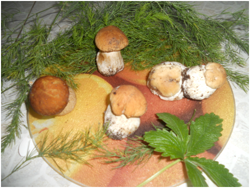 Белый-белый белый гриб – толстенькая ножка...