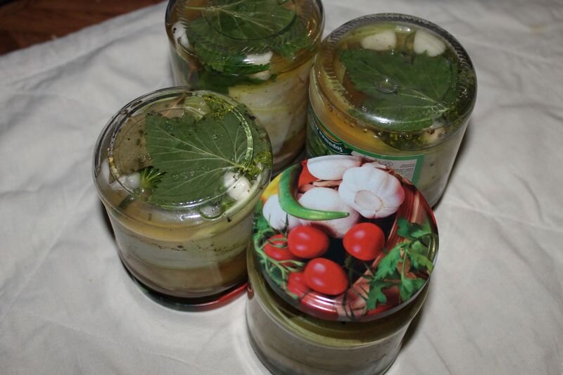 ����� ������� ������������ �������.